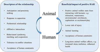 The Power of a Positive Human–Animal Relationship for Animal Welfare